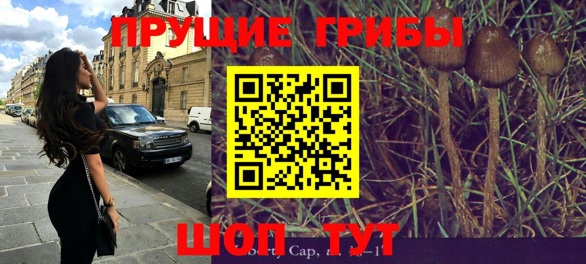 Псилоцибиновые грибы ЛСД  Вход с VPN  Псилоцибиновые грибы прущие грибы  Хабаровск 